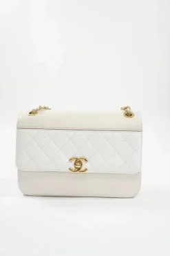 Beige and White Quilted Calfskin Flap Shoulder Bag