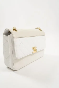 Beige and White Quilted Calfskin Flap Shoulder Bag