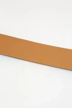 Black calfskin leather Collier de Chien 50 belt with gold-finish metal buckle