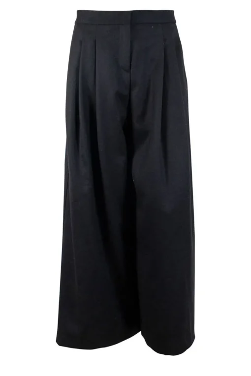 Black wide leg pants with pleats