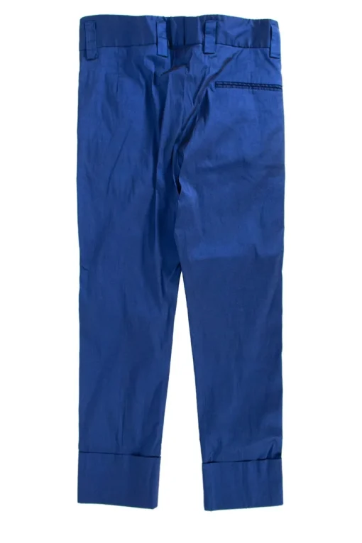 Blue shimmery pants
