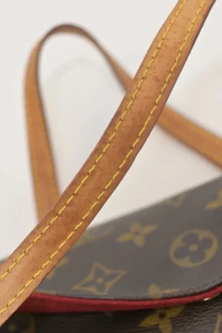 Brown coated monogram canvas and leather Sonatine bag