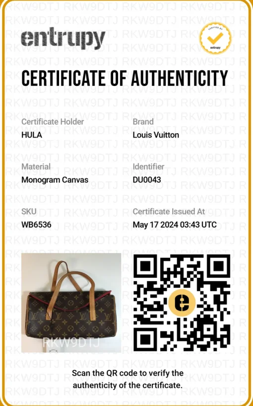 Brown coated monogram canvas and leather Sonatine bag