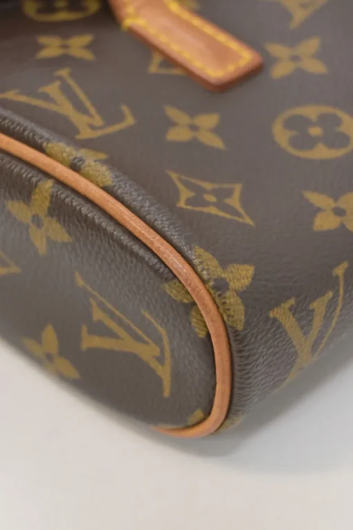 Brown coated monogram canvas and leather Sonatine bag