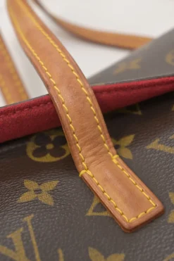 Brown coated monogram canvas and leather Sonatine bag