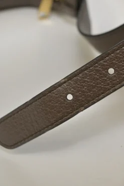 Brown GG Supreme monogram canvas and leather Ophidia mini crescent bag with webbing details