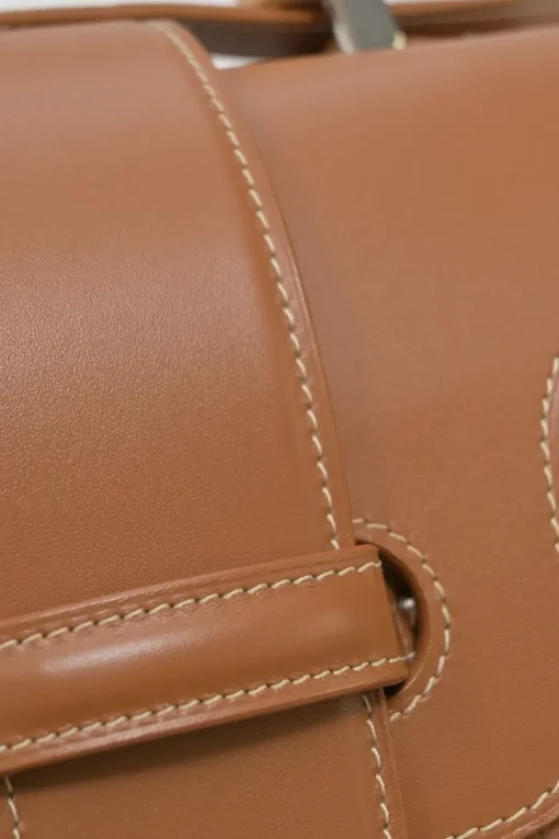 Brown leather and wood Goyardine Saïgon Structuré mini bag
