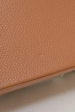 Brown leather and wood Goyardine Saïgon Structuré mini bag