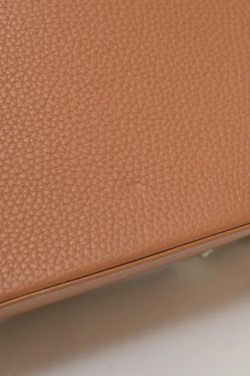 Brown leather and wood Goyardine Saïgon Structuré mini bag