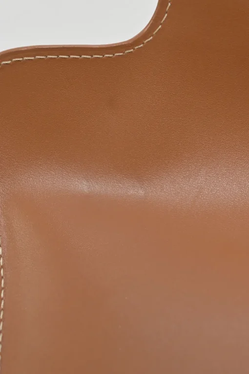 Brown leather and wood Goyardine Saïgon Structuré mini bag