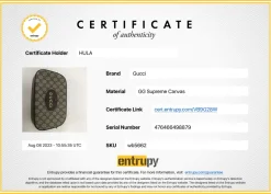 Brown Neo Vintage GG Supreme monogram canvas and leather camera bag with webbing shoulder strap