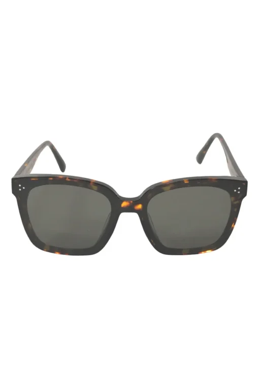 Brown tortoiseshell acetate and tinted polycarbonate Dreamer 17 oversized square shape sunglasses