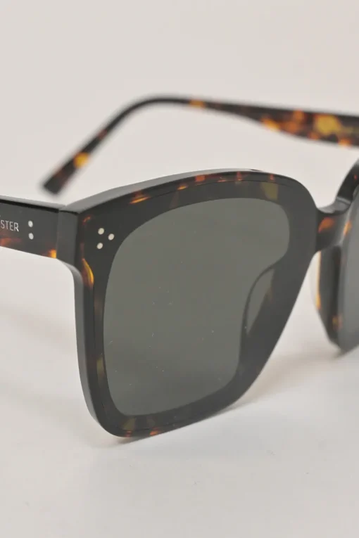 Brown tortoiseshell acetate and tinted polycarbonate Dreamer 17 oversized square shape sunglasses