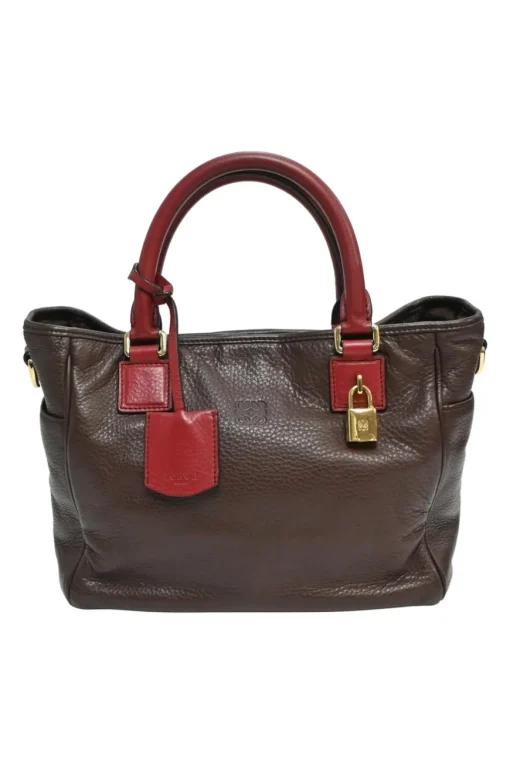 Burgundy grained calfskin Amazona satchel with detachable shoulder strap