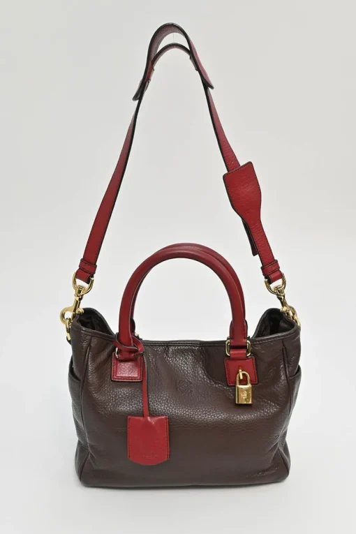 Burgundy grained calfskin Amazona satchel with detachable shoulder strap