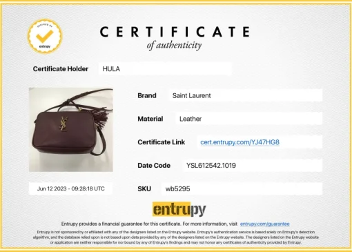 Burgundy smooth leather Lou tassel camera bag with gold-tone metallic logo plaque