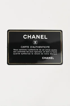 Cream matelassé caviar leather Coco Handle bag with ruthenium finish hardware and contrasting lizard skin trim appliqué