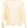 Cream plissé polyester crewneck long sleeve top with hood