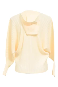 Cream plissé polyester crewneck long sleeve top with hood