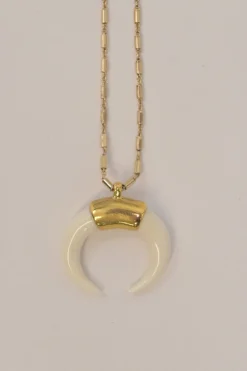 Gold-tone metal Zanzibar tube link necklace with horn pendant