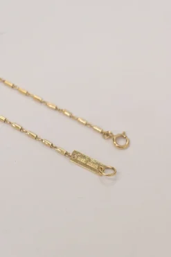 Gold-tone metal Zanzibar tube link necklace with horn pendant