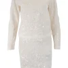 Ivory meshed sequins long-sleeved top and skirt