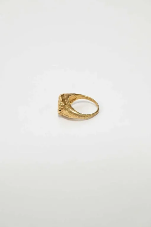 24-karat gold-plated sterling silver zodiac signet ring