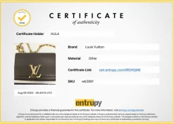 Louis Vuitton grey Chain Louise GM leather crossbody bag with gold tone hardware