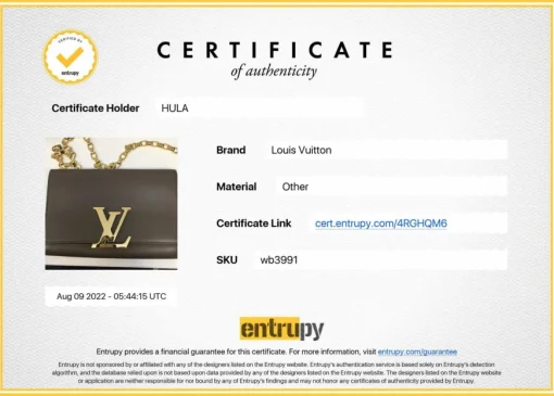 Louis Vuitton grey Chain Louise GM leather crossbody bag with gold tone hardware