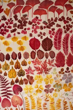 Multi leaves print on ivory silk scarf