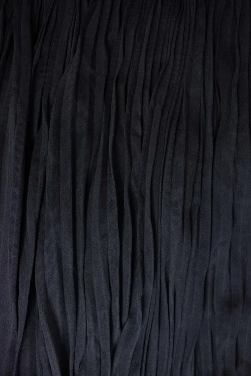Navy pleated sheer maxi skirt