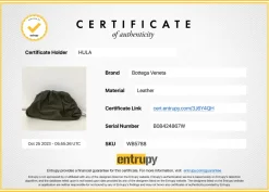 Olive Calfskin 'The Pouch' bag