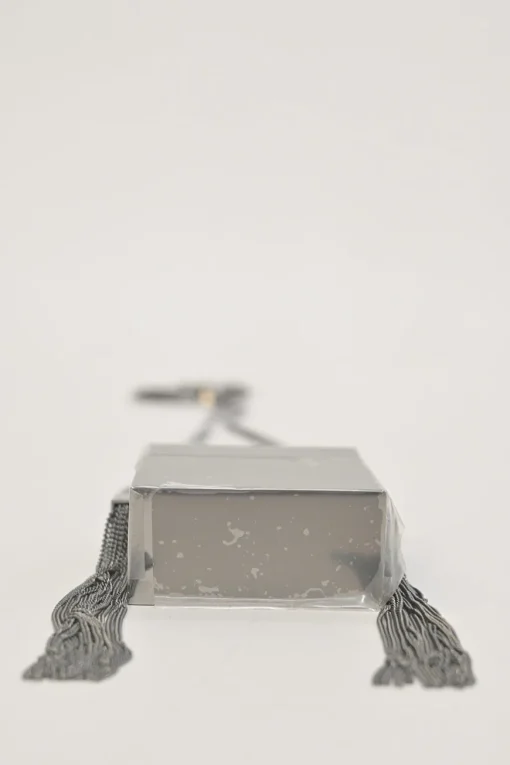 Silver-tone metallic cigarette case on snake chain strap