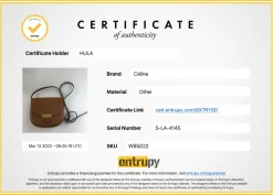 Small Brown Trotteur Crossbody Bag