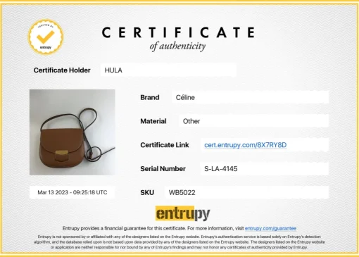 Small Brown Trotteur Crossbody Bag