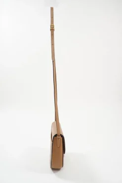 Small Brown Trotteur Crossbody Bag