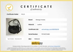The Mini Bulb Gathered Black Leather Shoulder Bag