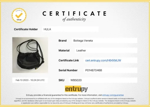 The Mini Bulb Gathered Black Leather Shoulder Bag