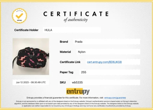x Frankenstein black and pink re-nylon thunder novelty print belt bag