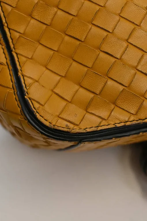 Yellow python skin-trimmed intrecciato nappa leather Roma mini tote bag
