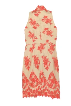 Beige and orange draped floral lace Mandarin collar sleeveless sheath dress with scalloped hem