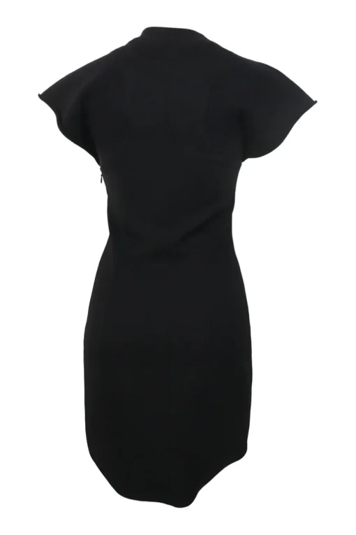 Black polyester-blend mock neck flutter sleeve sheath dress