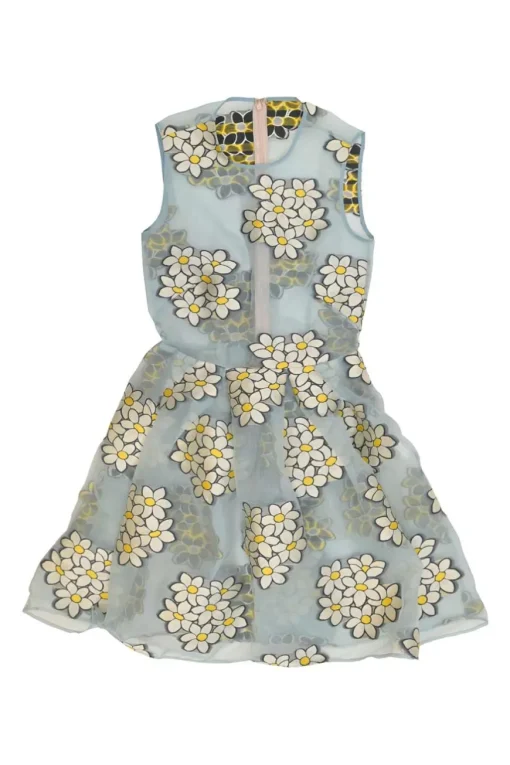 Blue floral-embroidered polyester-blend organza knee-length A-line dress with fitted bodice and circle skirt