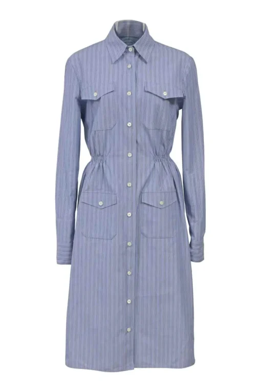Blue striped chambray point collar button-front utility shirt dress featuring chest and hip patch pockets and elasticated waist