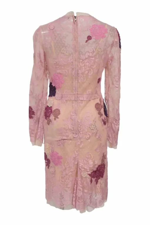 Blush floral-embroidered viscose-blend eyelash lace long sleeve illusion sheath dress
