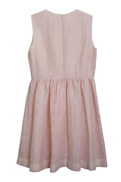 Blush semi-sheer layered cotton sleeveless mini skater dress