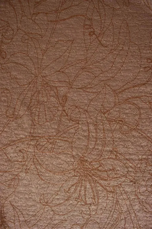 Brown print long-sleeved sheer top