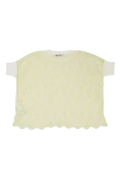 Chartreuse semi-sheer scalloped cotton floral lace boxy crop top with contrast rib collar and cuffs