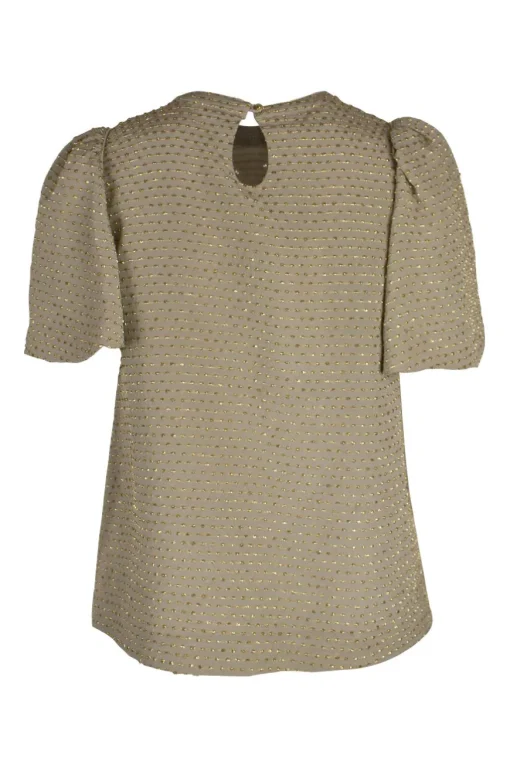 Nude short sleeve top with gold embroidered polka dot stripes