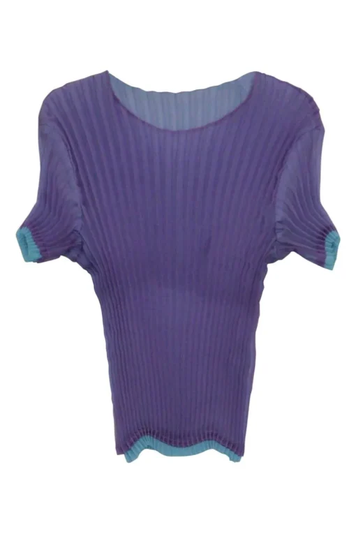 Purple bi-layer polyester pullover short sleeve plissé top